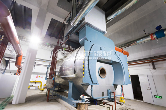 10噸WNS系列冷凝式燃?xì)庹羝仩t項(xiàng)目